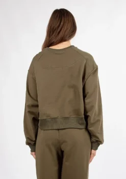 Bluza DK-K-B26